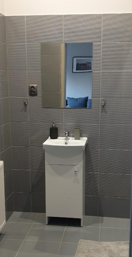 Wadowice Apartamenty Nad Skawa المظهر الخارجي الصورة